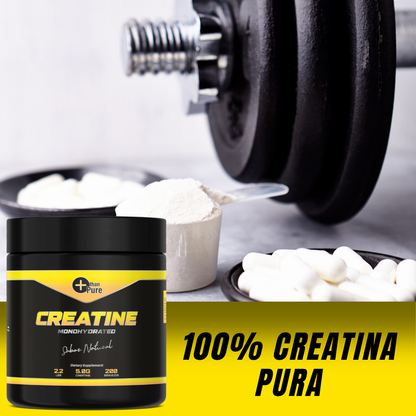 Creatina Monohidratada 1K