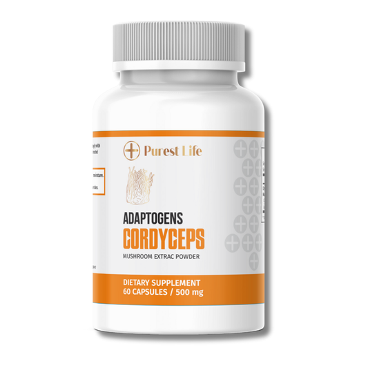 CORDYCEPS - 60 Cápsulas