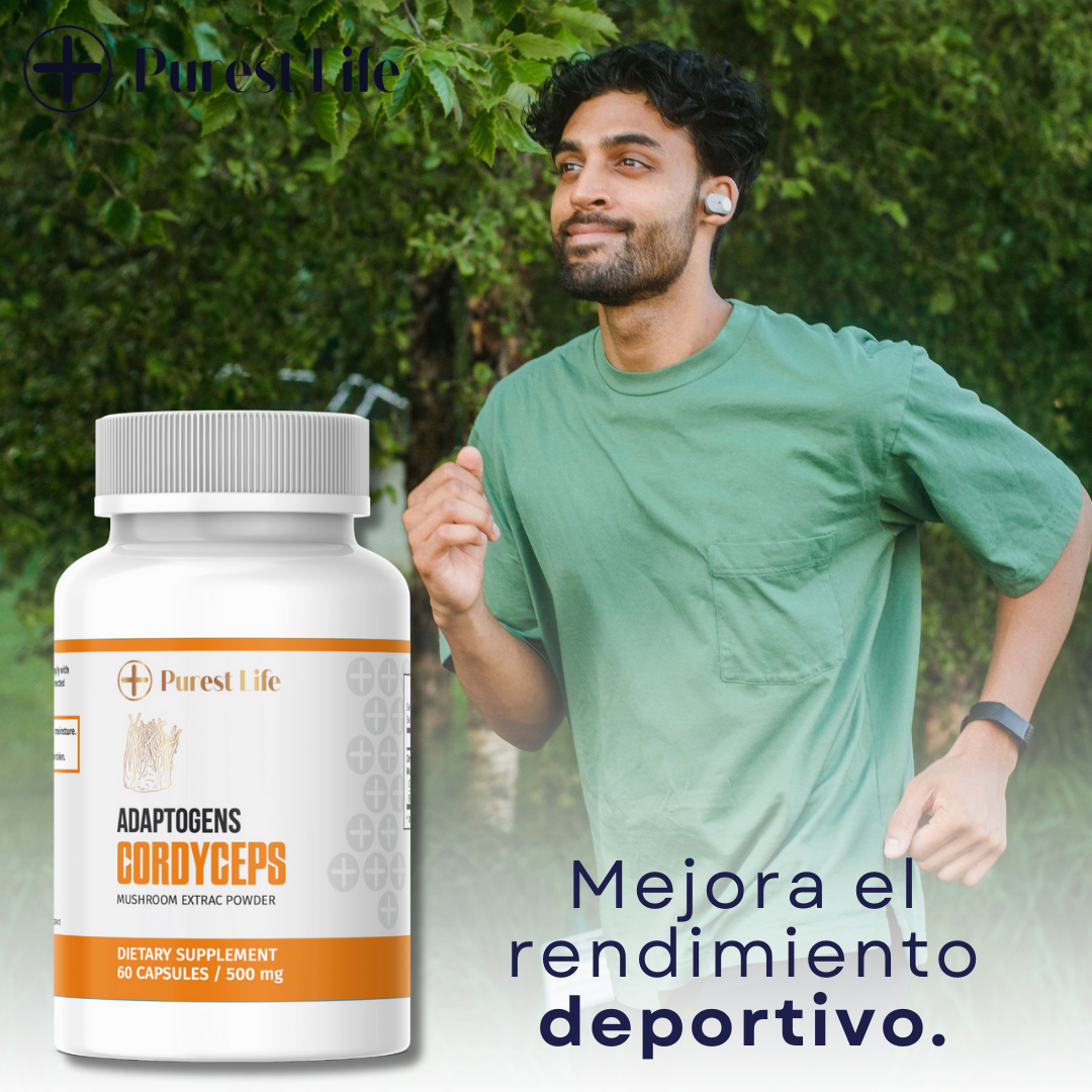 CORDYCEPS - 60 Cápsulas